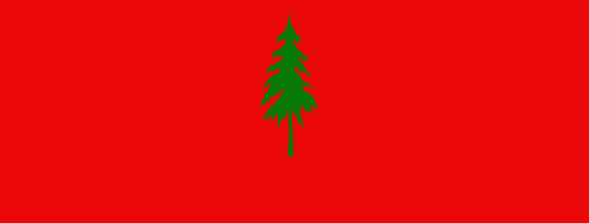 Image of a green Christmas tree on a red background